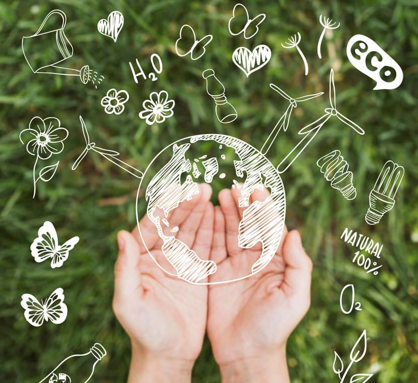 Sostenibilidad y embalaje ecológico: Nuestro compromiso con el planeta