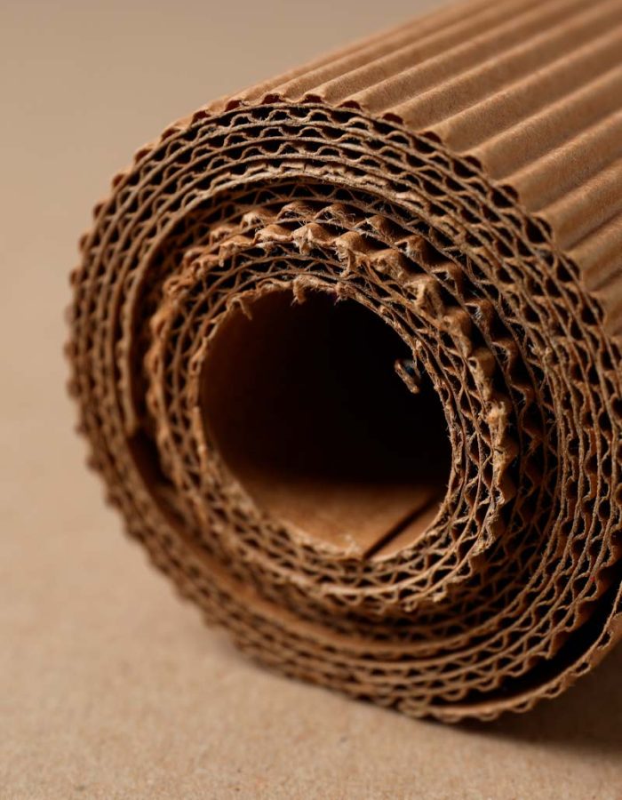 Cartón corrugado: Protección ecológica para embalaje seguro