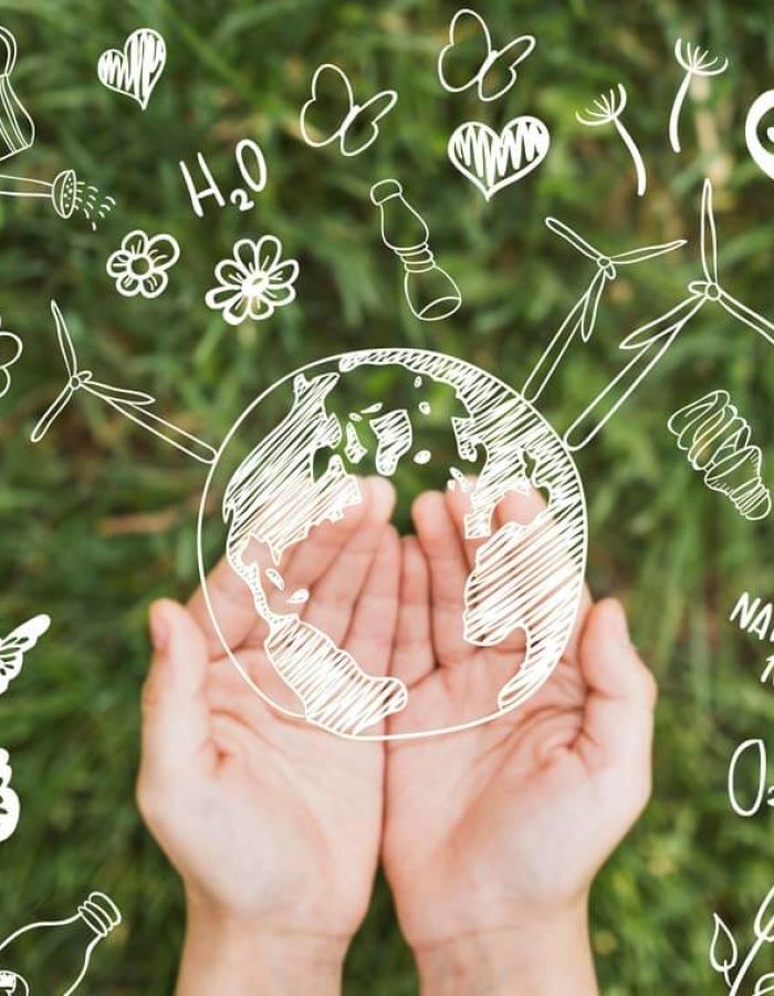 Sostenibilidad y embalaje ecológico: Nuestro compromiso con el planeta