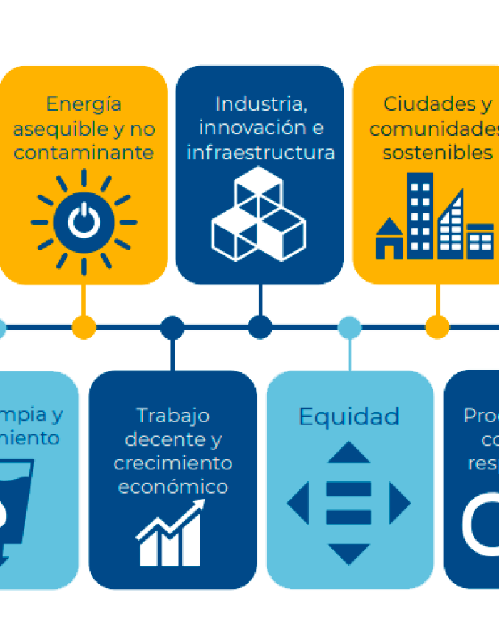 Vinipel y su compromiso con los Objetivos de Desarrollo Sostenible para un futuro más sostenible y responsable