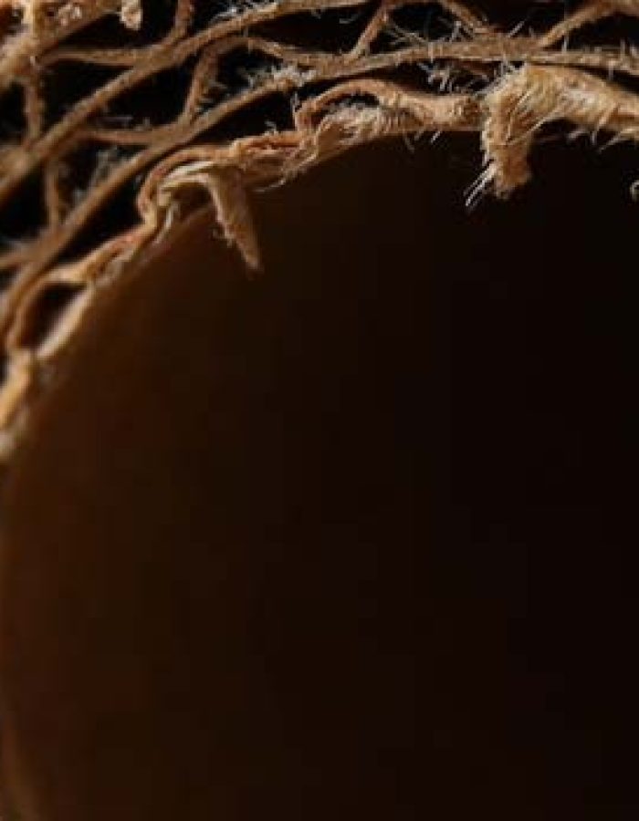 Estructura de cartón corrugado en detalle