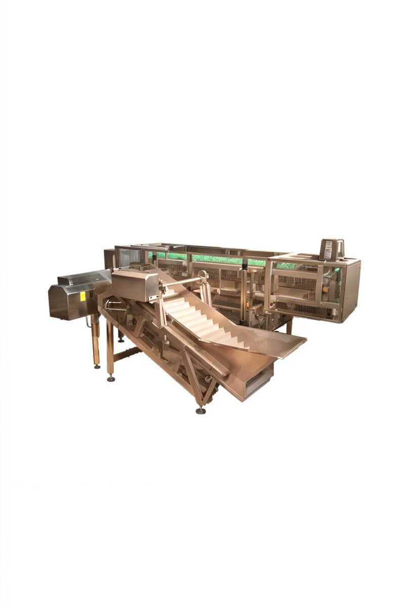 Solución automatizada para procesamiento de hortalizas