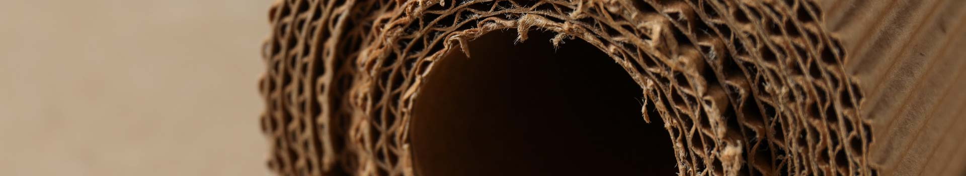 Estructura de cartón corrugado en detalle